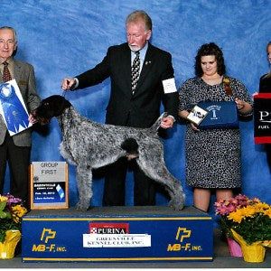 2013 Greenville Kennel Club Dog Show